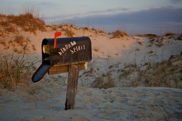 special_delivery_on_bird_island.jpg